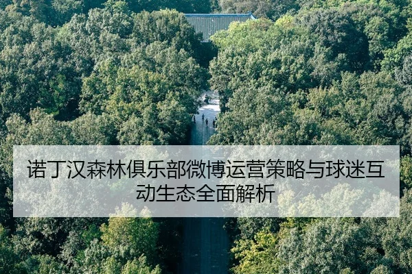 nuo-ding-han-sen-lin-ju-le-bu-wei-bo-yun-ying-ce-lve-yu-qiu-mi-hu-dong-sheng-tai-quan-mian-jie-xi-2-607.jpg