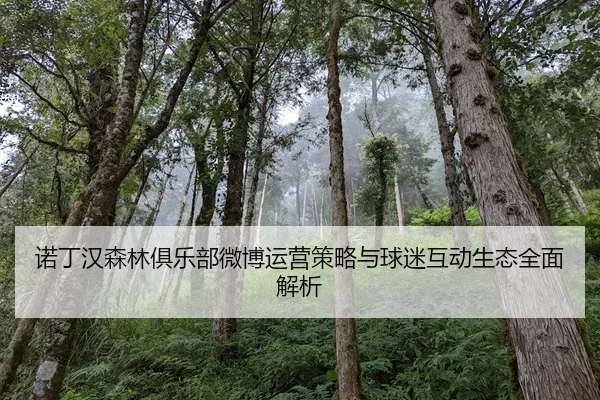 诺丁汉森林俱乐部微博运营策略与球迷互动生态全面解析