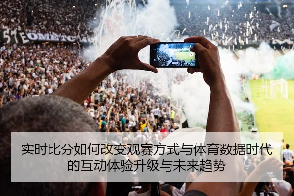 实时比分如何改变观赛方式与体育数据时代的互动体验升级与未来趋势