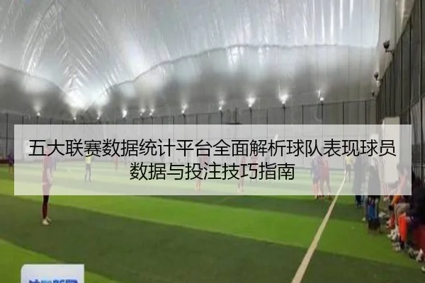 五大联赛数据统计平台全面解析球队表现球员数据与投注技巧指南